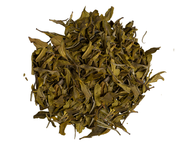 Basilur Artisan Collection Ceylon Premium White Tea Tin, Loose Tea 25g