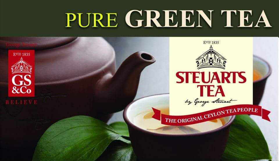 Steuarts 緑茶、25 カウント ティーバッグ