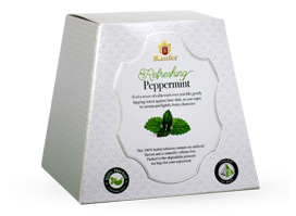 Ranfer Refreshing Peppermint, 20 Count Tea Bags